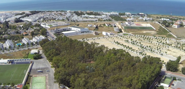 Camping Los Eucaliptos Conil